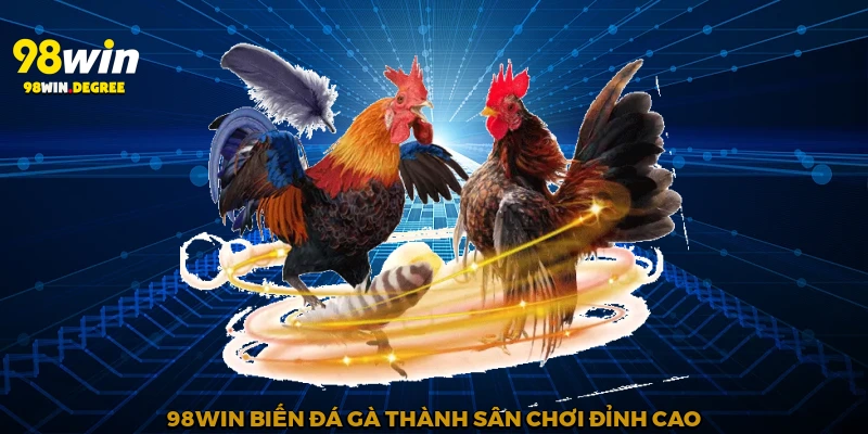 Đá Gà Thomo - Hồi Hộp Từng Giây Phút Cùng 98Win 3 98Win biến đá gà thành sân chơi đỉnh cao