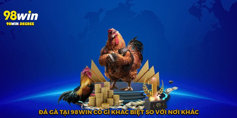 Đá Gà Trực Tiếp 98Win - Hồi Hộp Trong Từng Trận Đấu 4 Đá gà tại 98Win có gì khác biệt so với nơi khác?