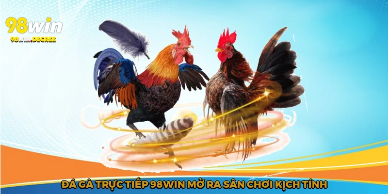 Đá Gà Trực Tiếp 98Win - Hồi Hộp Trong Từng Trận Đấu 2 Đá gà trực tiếp 98Win mở ra sân chơi kịch tính