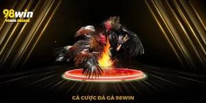 Cá cược đá gà 98Win