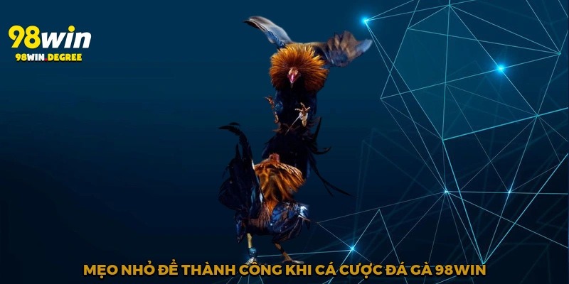 Cá Cược Đá Gà 98Win - Sức Hút Khó Cưỡng Của Sân Chơi 4 Mẹo nhỏ để thành công khi cá cược đá gà 98Win